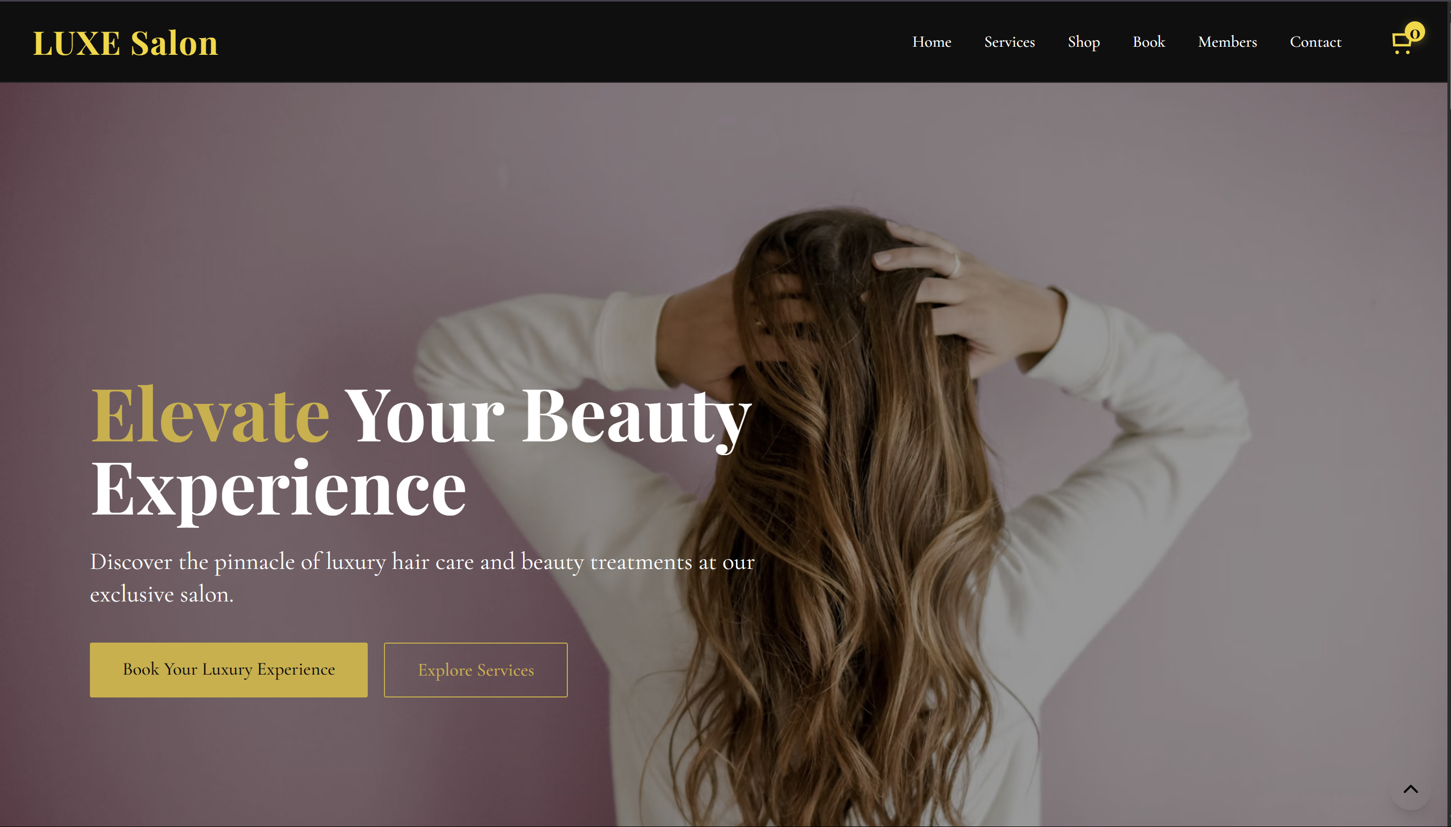 LUXE SALON Project Thumbnail